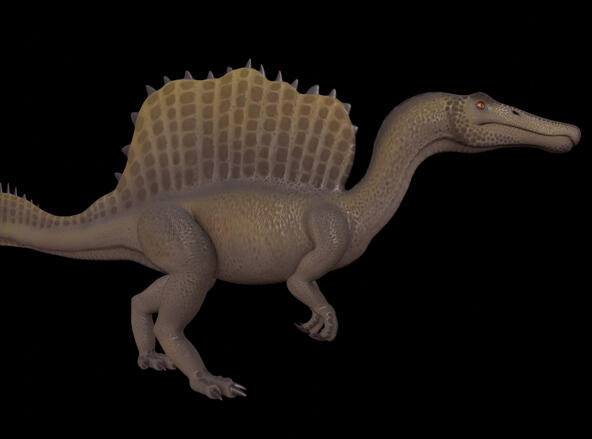 Spinosaurus